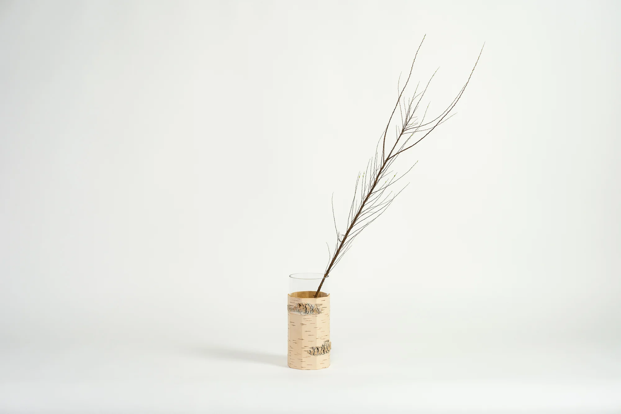 Tara Pikk Birch Bark Vases - Image 6