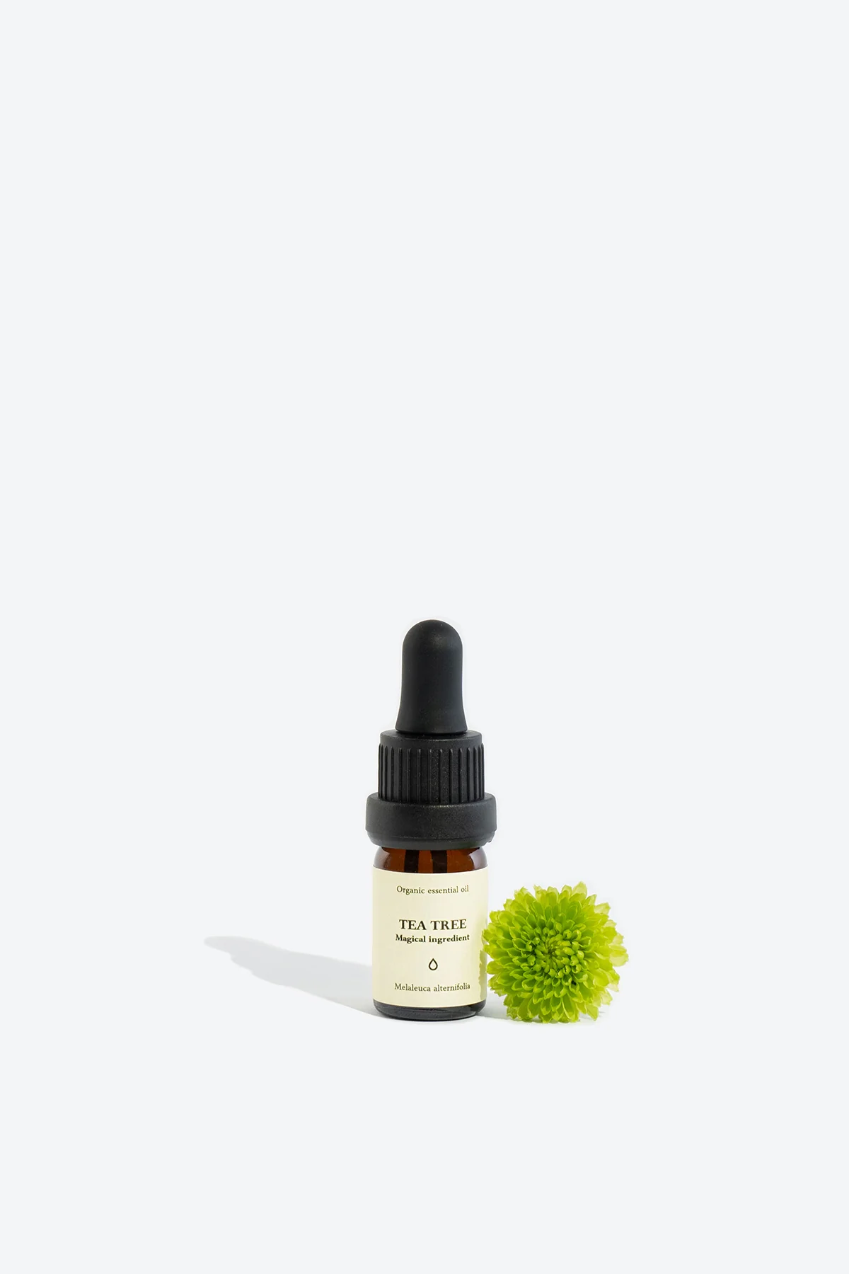 Tea Tree Organic Essential Oil - Image 2