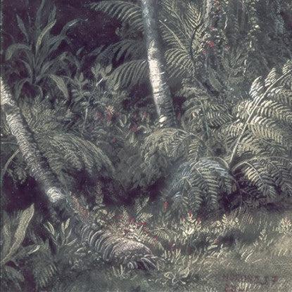 The Exotic Land Mural Wallpaper - Image 6