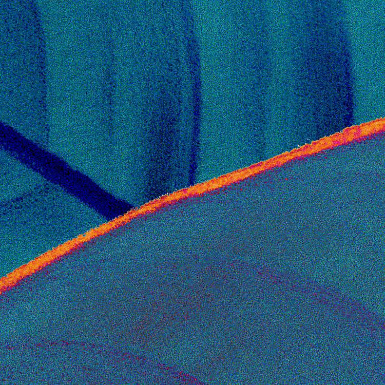 Foliage Wallpaper Mural - Image 4