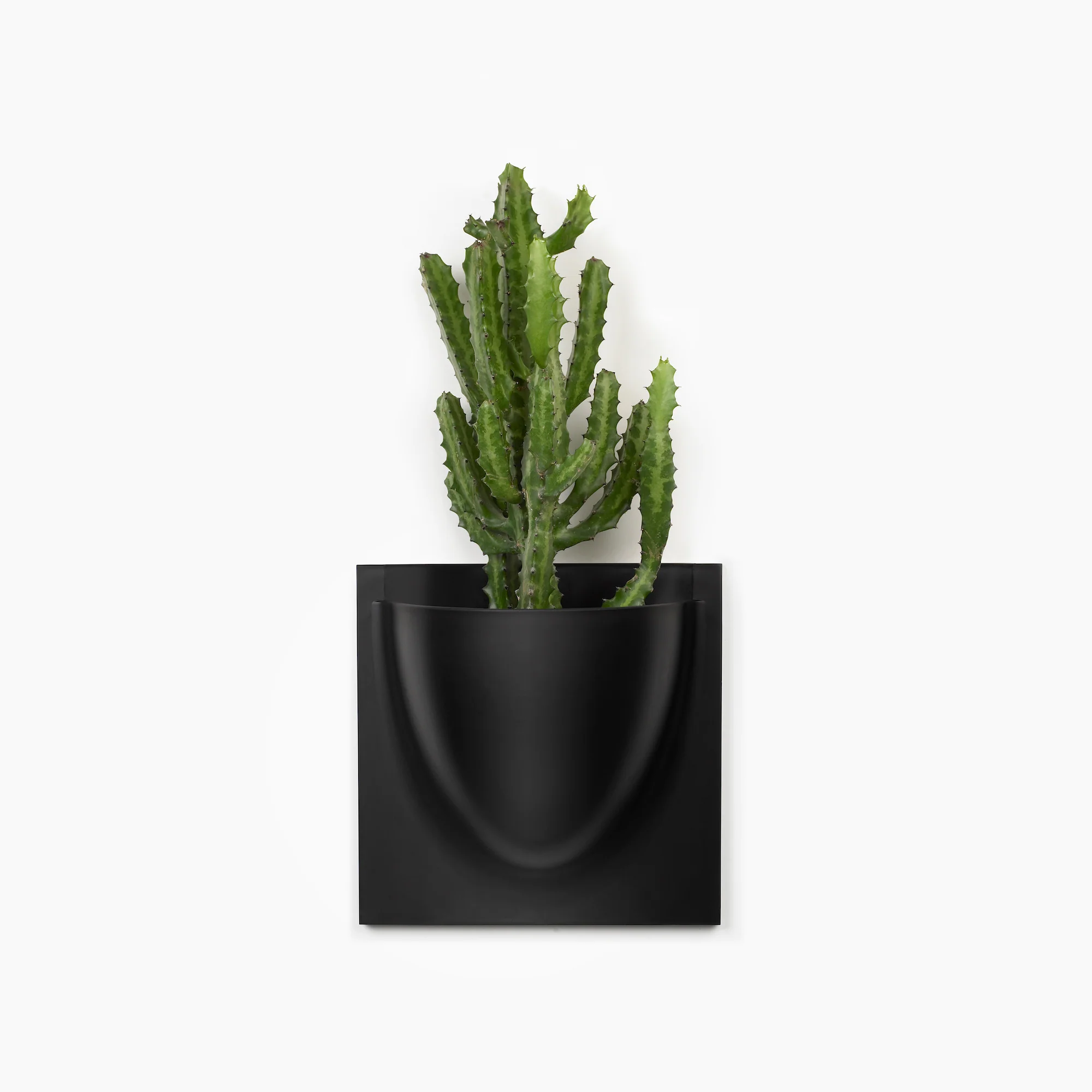 White VertiPlant Bio Wall Container - Image 7