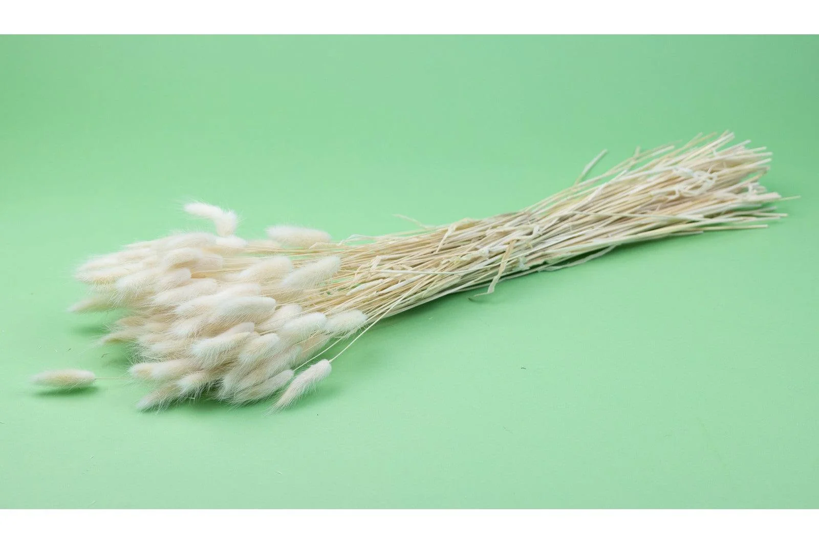 Italian White Lagurus Bouquet - Image 3