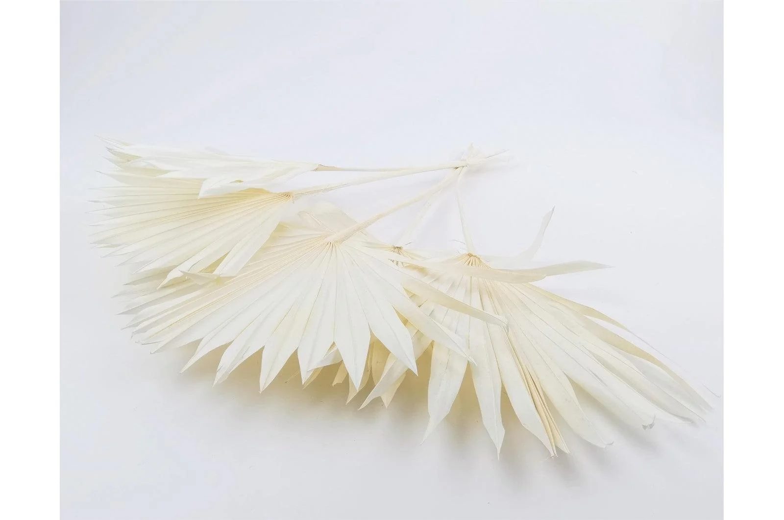 Italian White Palm Sun Bouquet - Image 2