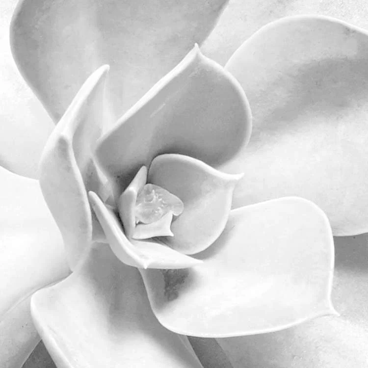 Shades Black and White Mural Wallpaper - Image 9