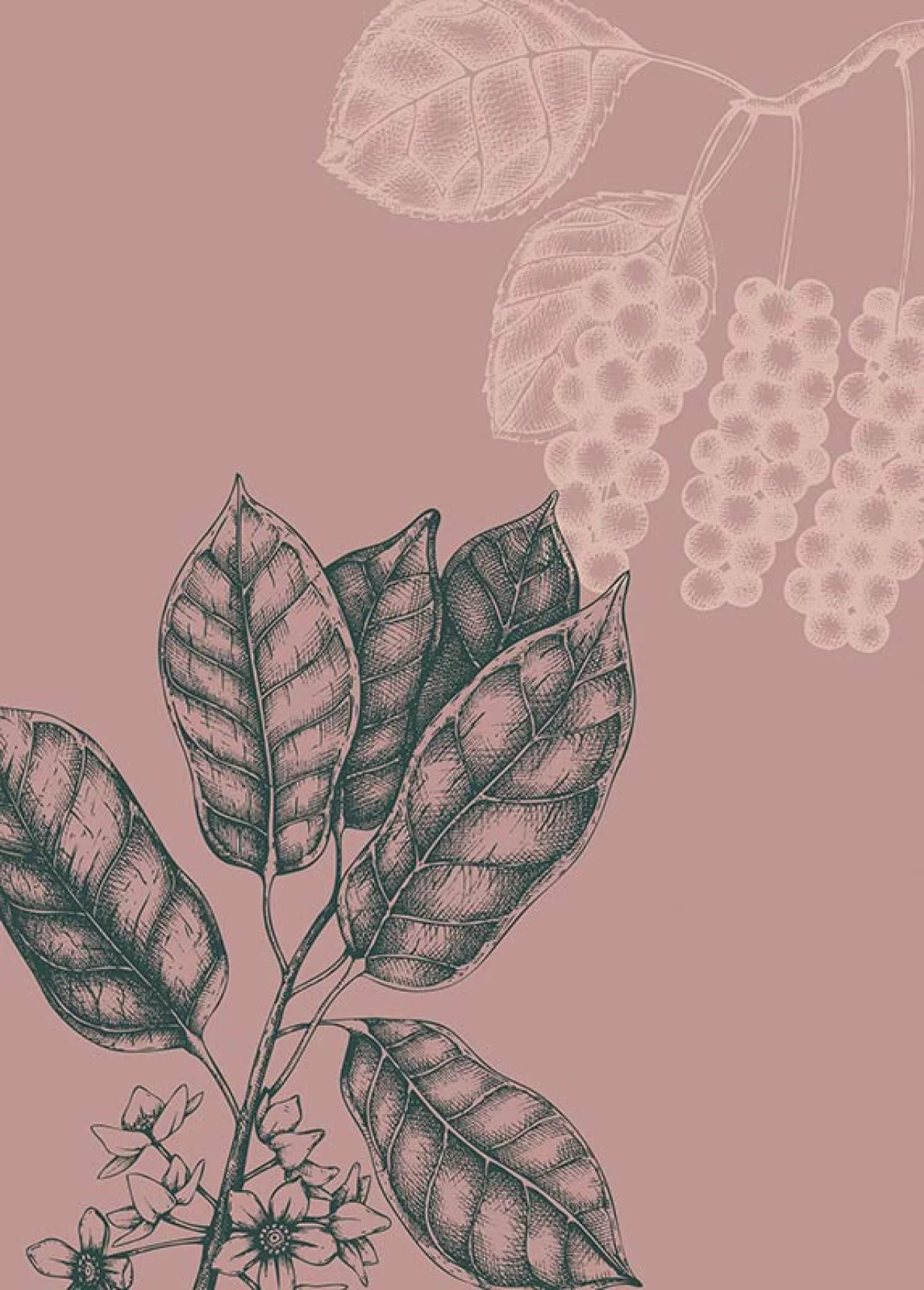 Wild Berry Art Poster - Image 2