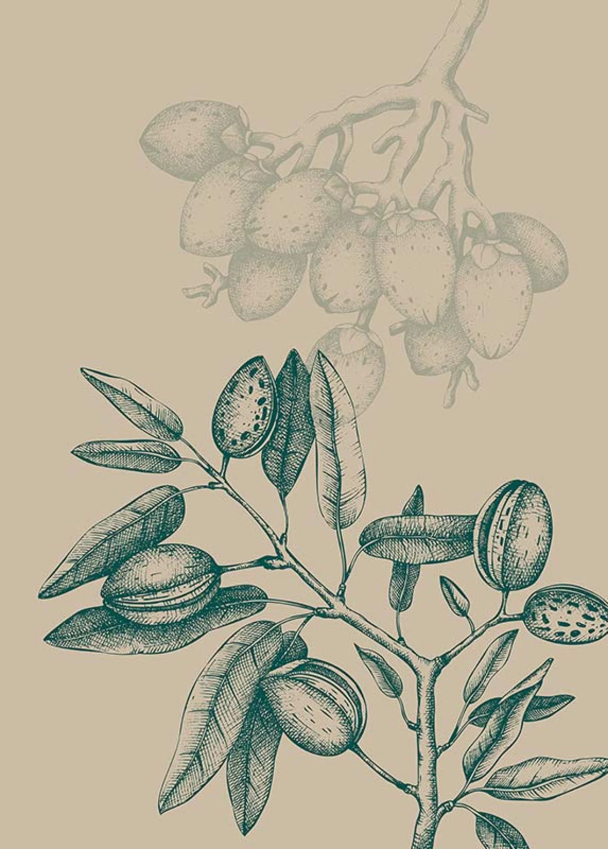 Wild Mandolino Art Poster - Image 2